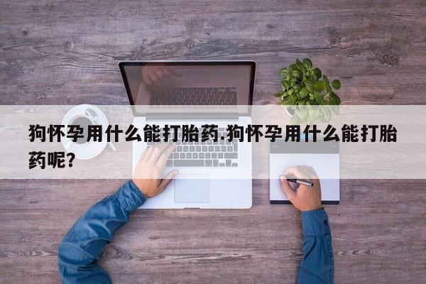打胎药私人店购买微信狗怀孕用什么能打胎药.狗怀孕用什么能打胎药呢？