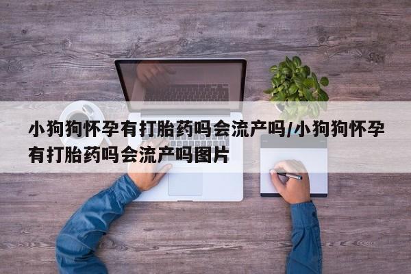 打胎药私人店购买微信小狗狗怀孕有打胎药吗会流产吗/小狗狗怀孕有打胎药吗会流产吗图片
