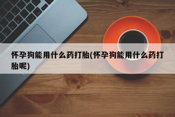 打胎药私人店购买微信怀孕狗能用什么药打胎(怀孕狗能用什么药打胎呢)
